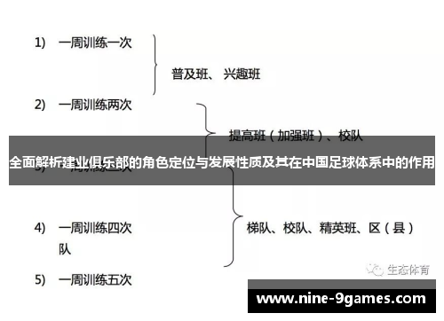 全面解析建业俱乐部的角色定位与发展性质及其在中国足球体系中的作用